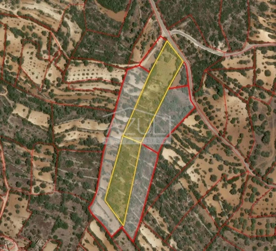 Terreno para Venda em Loule (São Sebastião) Foto 10