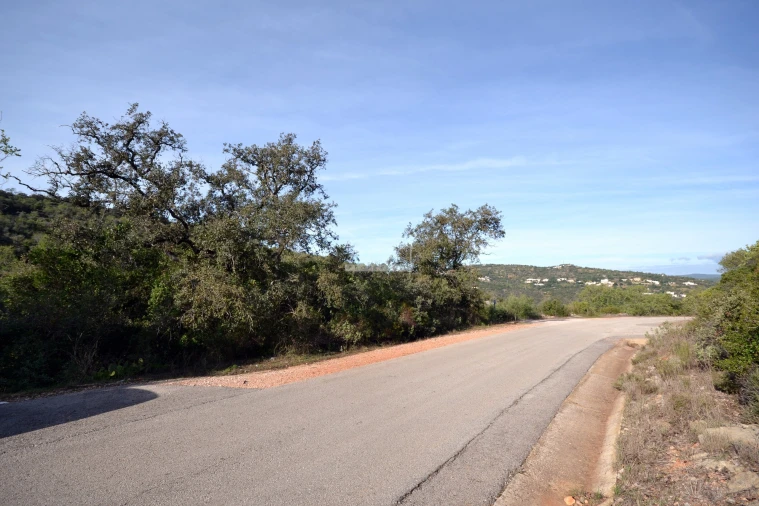 Terreno para Venda em Loule (São Sebastião) Foto 2