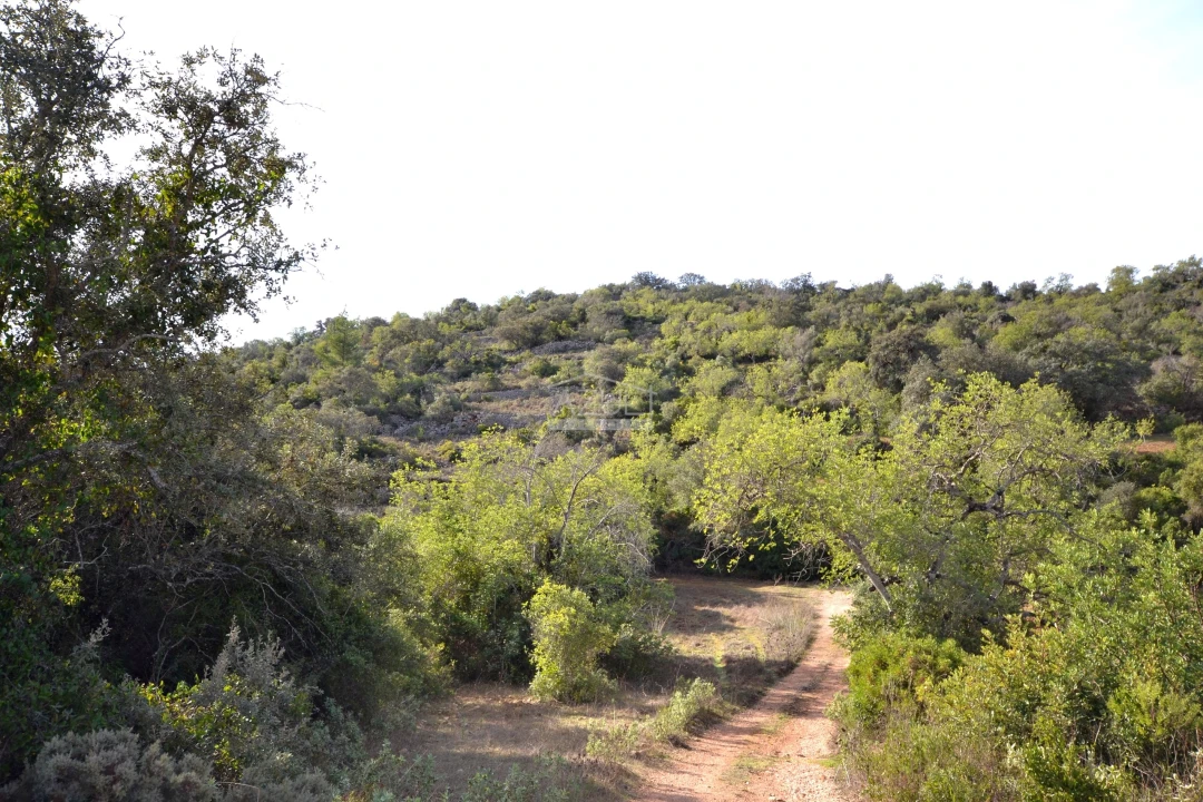 Terreno para Venda em Loule (São Sebastião) Foto 9