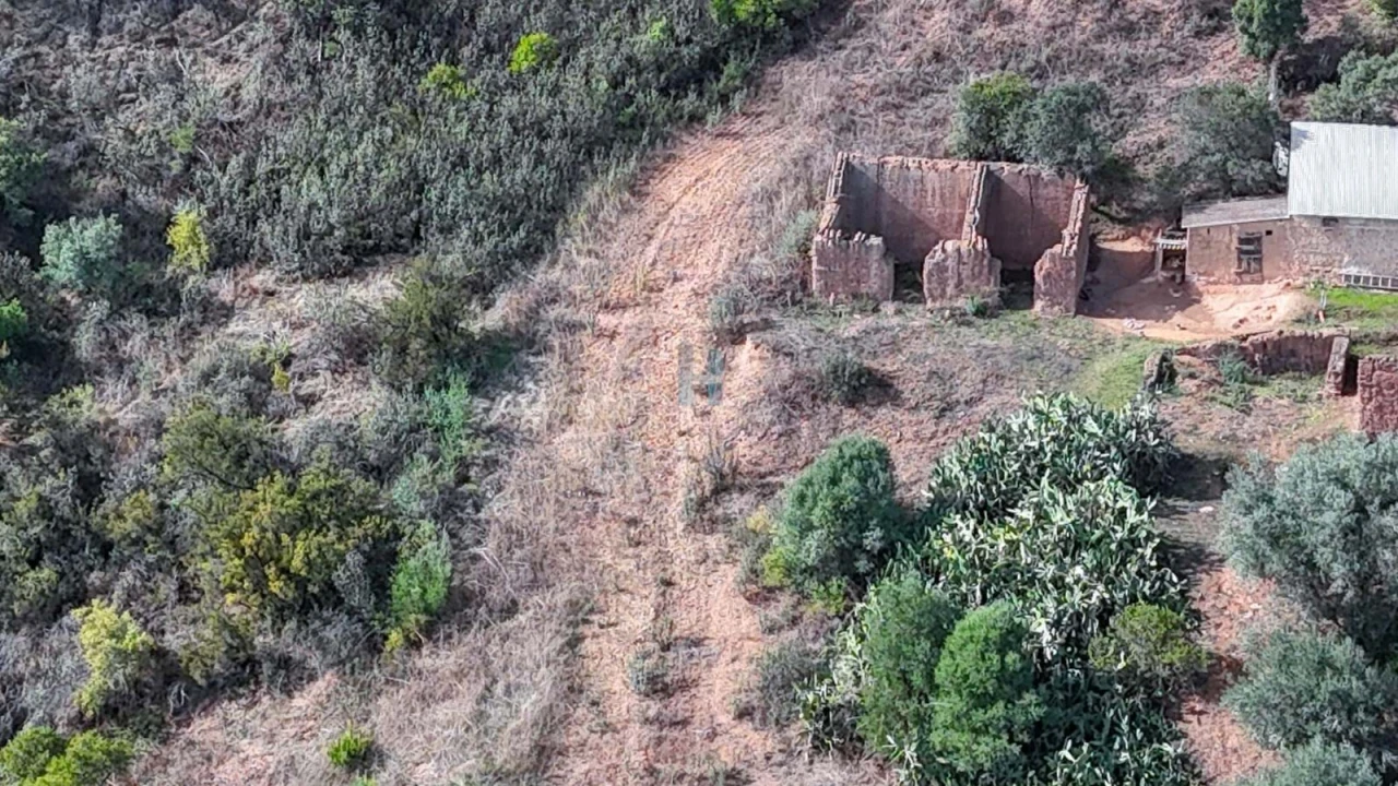 Terreno para Venda em Mexilhoeira Grande Foto 2