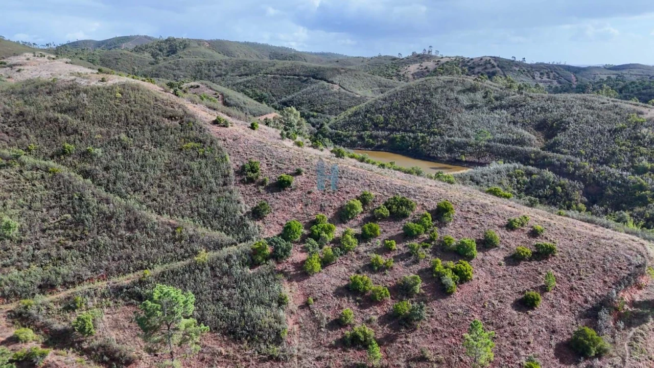 Terreno para Venda em Mexilhoeira Grande Foto 6