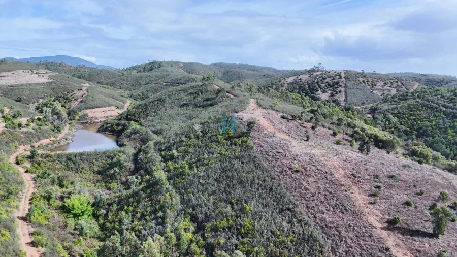 Terreno para Venda em Mexilhoeira Grande Foto 5