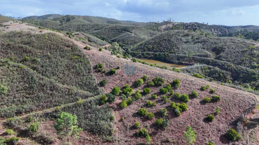 Terreno para Venda em Mexilhoeira Grande Foto 6