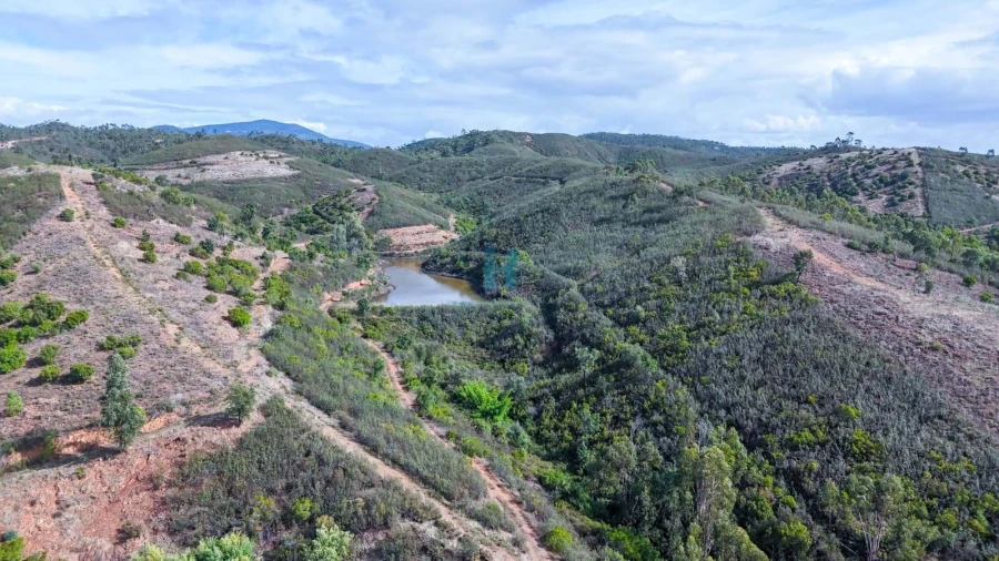 Terreno para Venda em Mexilhoeira Grande Foto 4