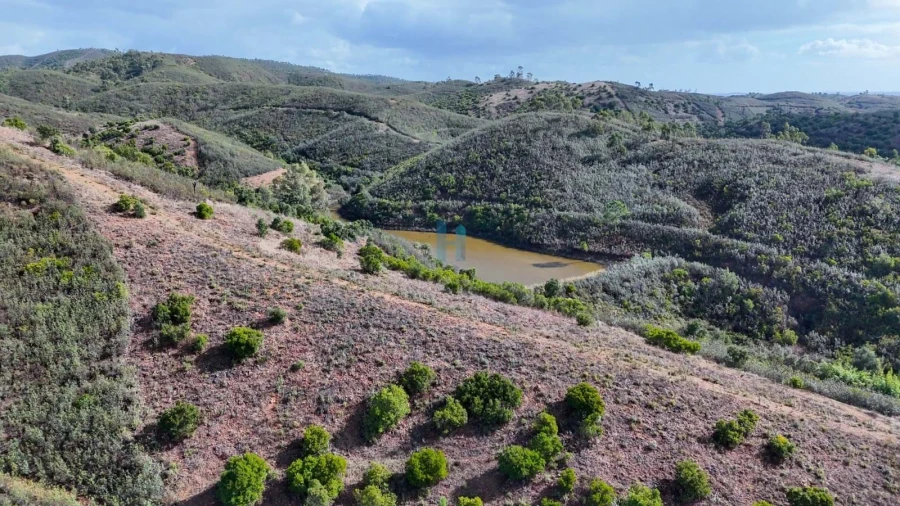 Terreno para Venda em Mexilhoeira Grande Foto 7