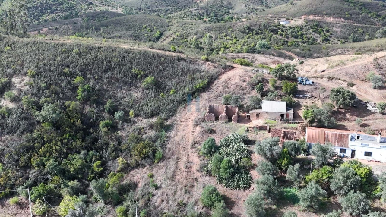 Terreno para Venda em Mexilhoeira Grande Foto 1