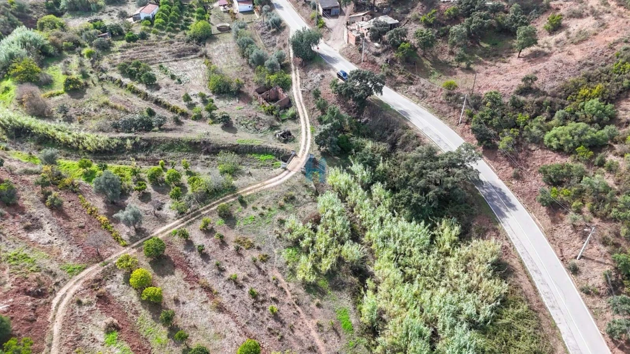 Terreno para Venda em Mexilhoeira Grande Foto 13