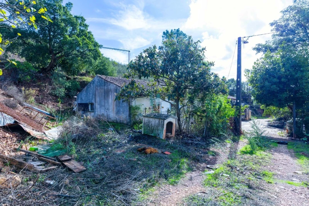 Terreno para Venda em Mexilhoeira Grande Foto 16