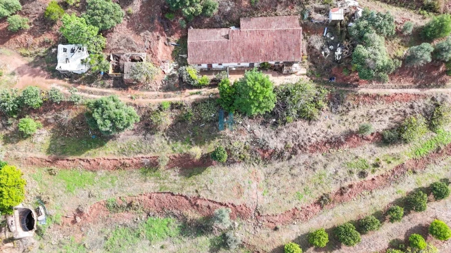 Terreno para Venda em Mexilhoeira Grande