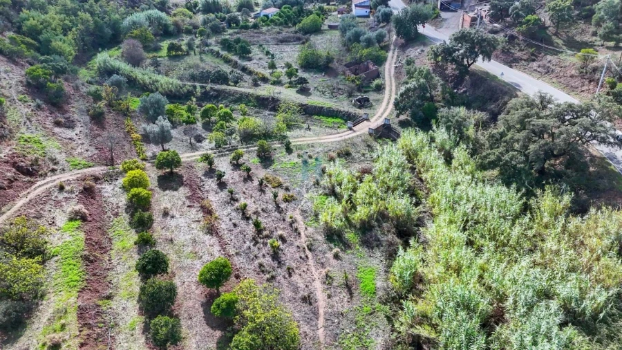 Terreno para Venda em Mexilhoeira Grande Foto 6