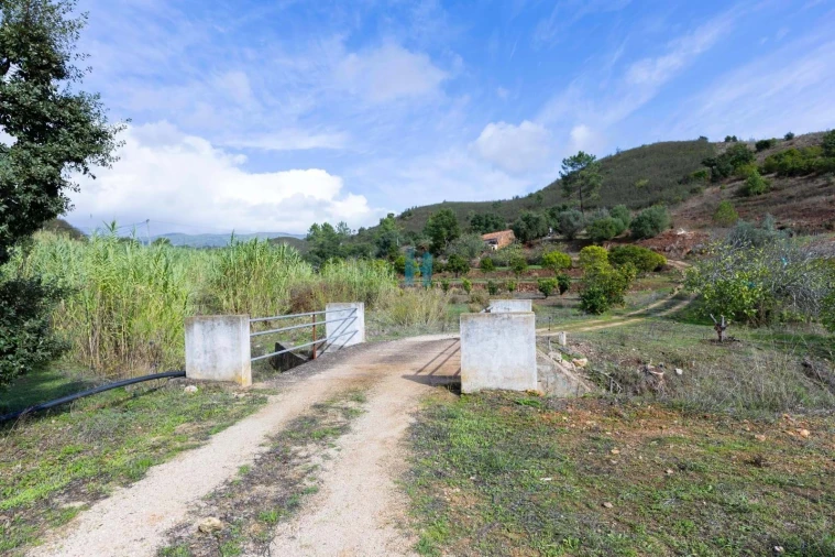 Terreno para Venda em Mexilhoeira Grande Foto 7