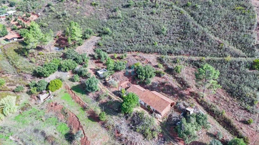 Terreno para Venda em Mexilhoeira Grande Foto 3