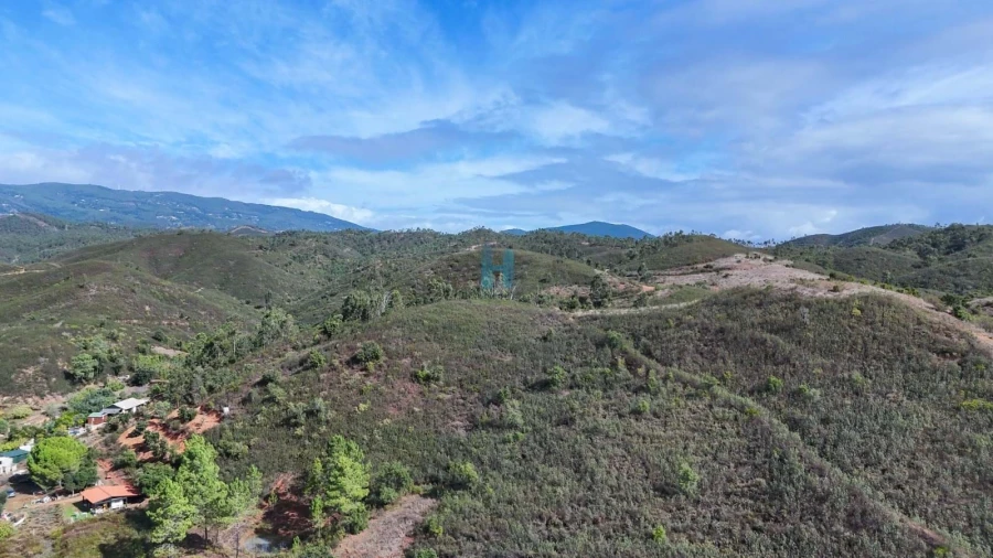 Terreno para Venda em Mexilhoeira Grande Foto 18