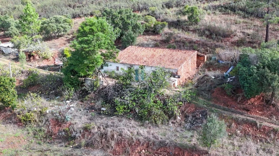 Terreno para Venda em Mexilhoeira Grande Foto 4