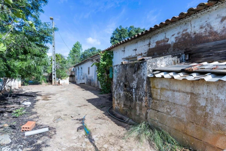 Terreno para Venda em Mexilhoeira Grande Foto 15