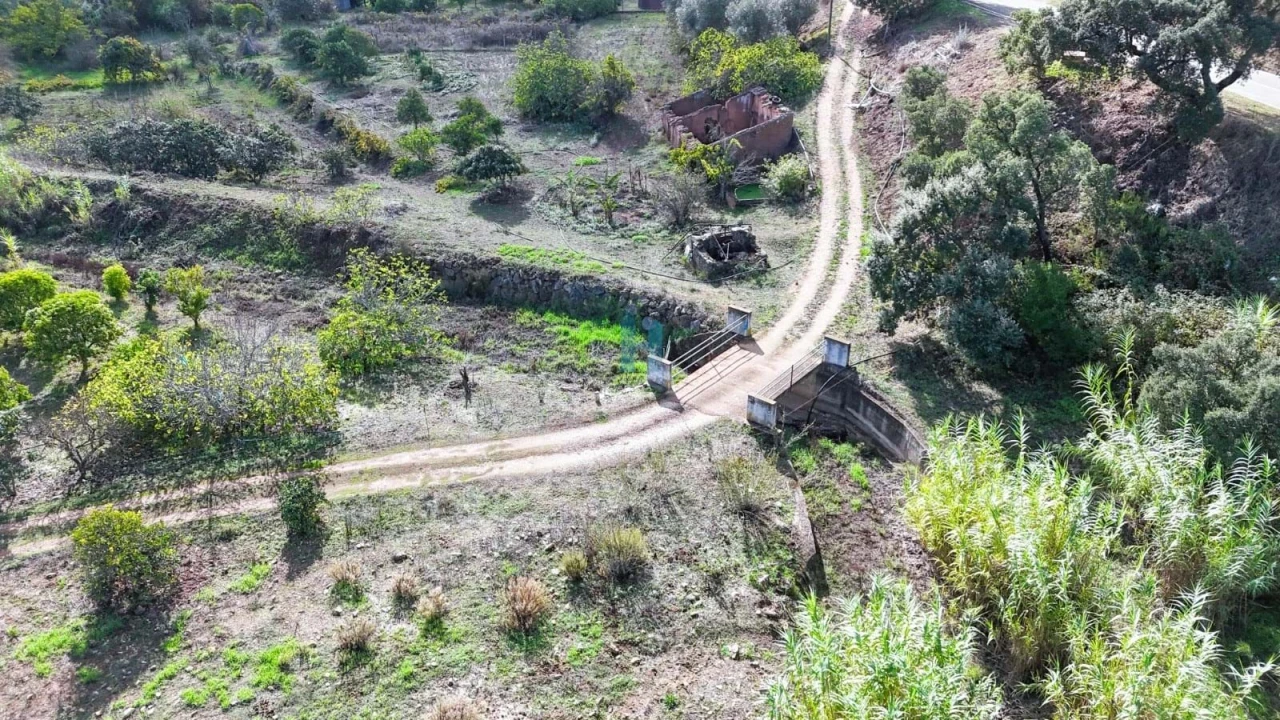 Terreno para Venda em Mexilhoeira Grande Foto 8