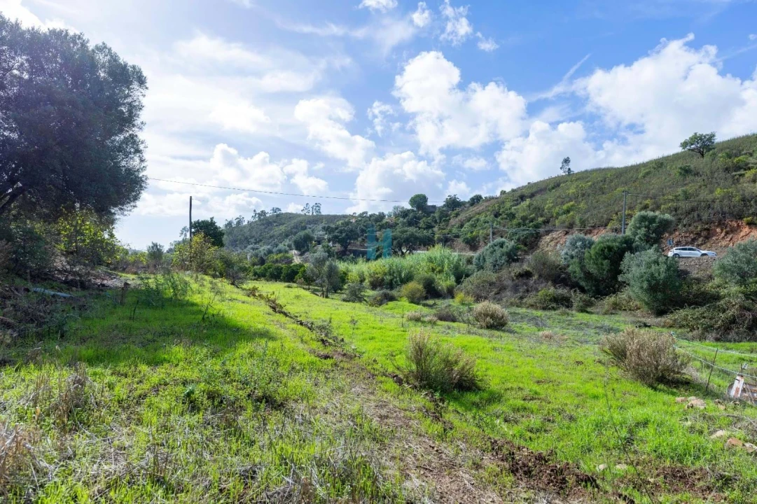 Terreno para Venda em Mexilhoeira Grande Foto 14