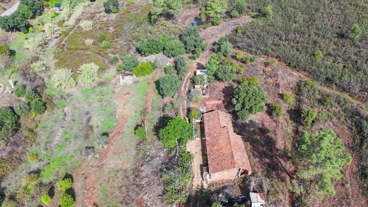 Terreno para Venda em Mexilhoeira Grande Foto 2