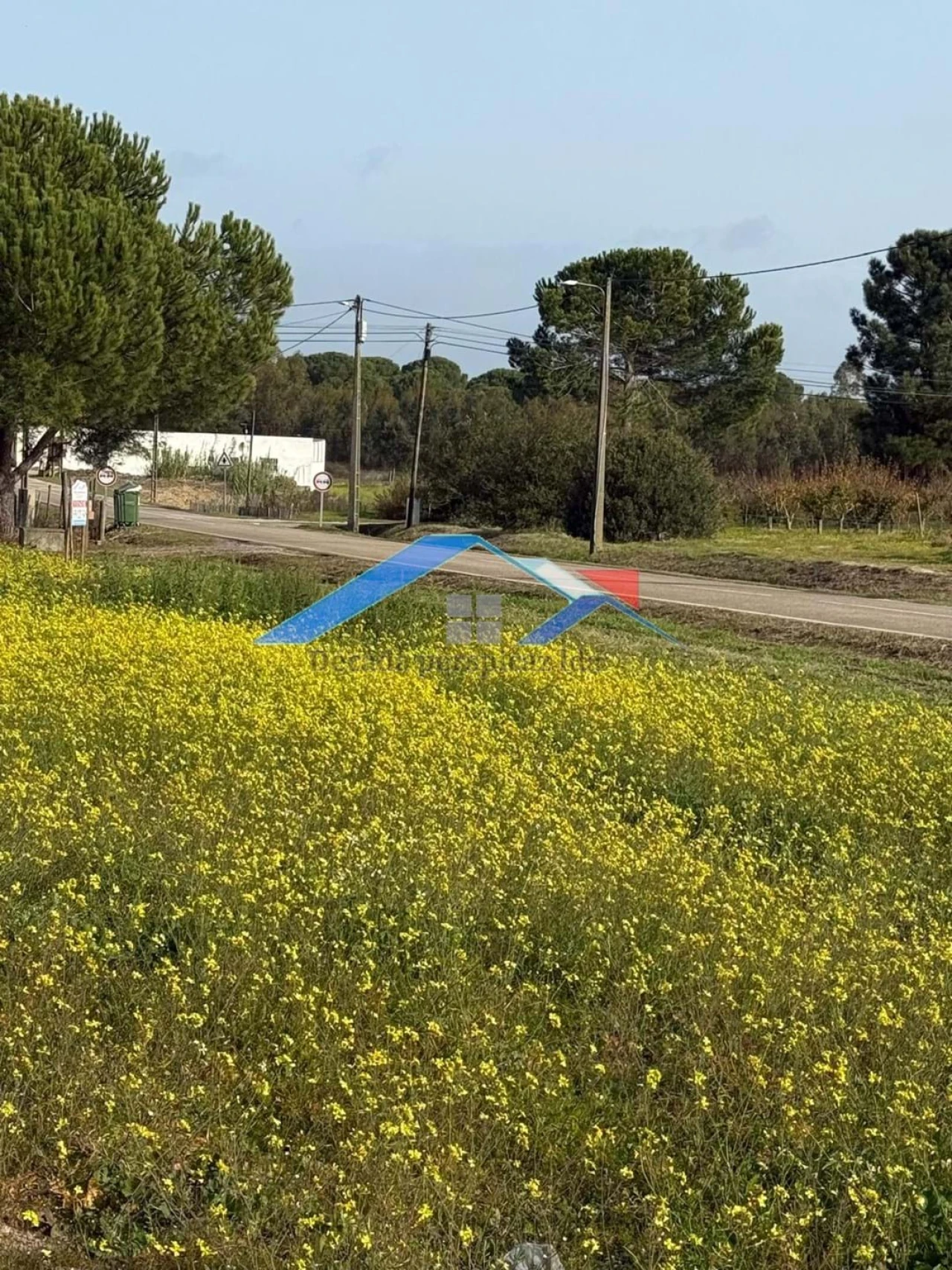 Terreno para Venda em Branca Foto 4