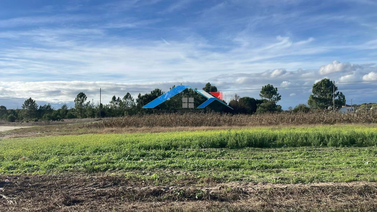 Terreno para Venda em Branca Foto 2