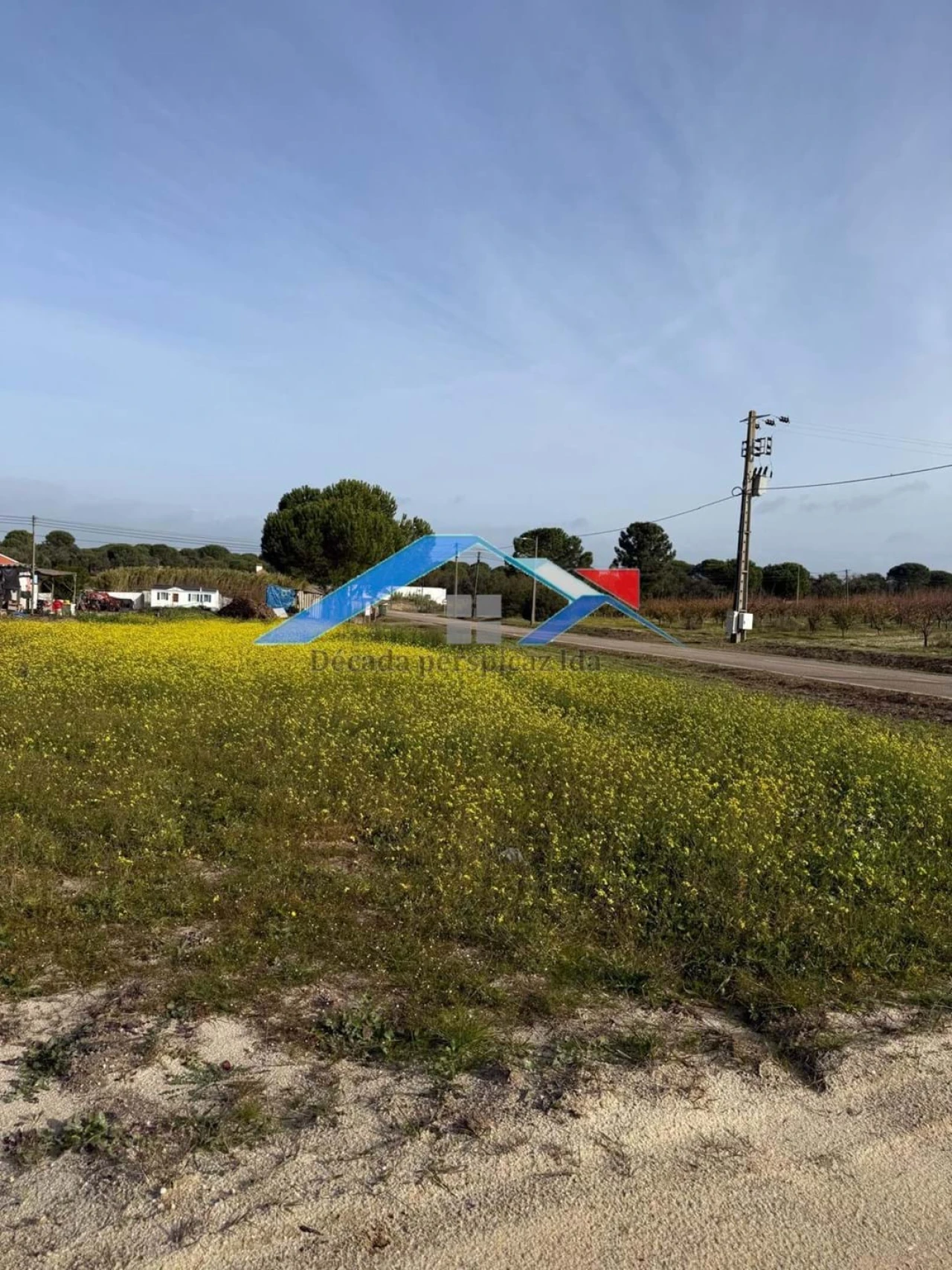 Terreno para Venda em Branca Foto 3