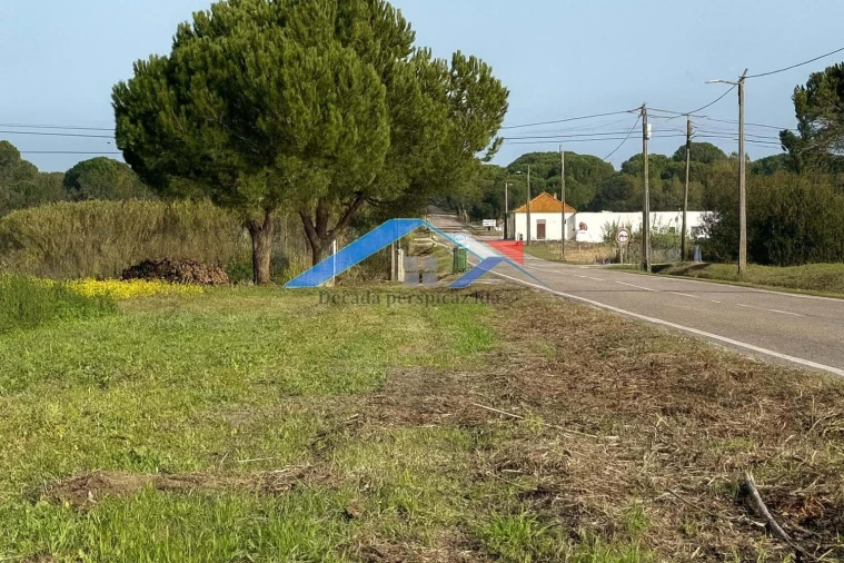 Terreno para Venda em Branca Foto 5