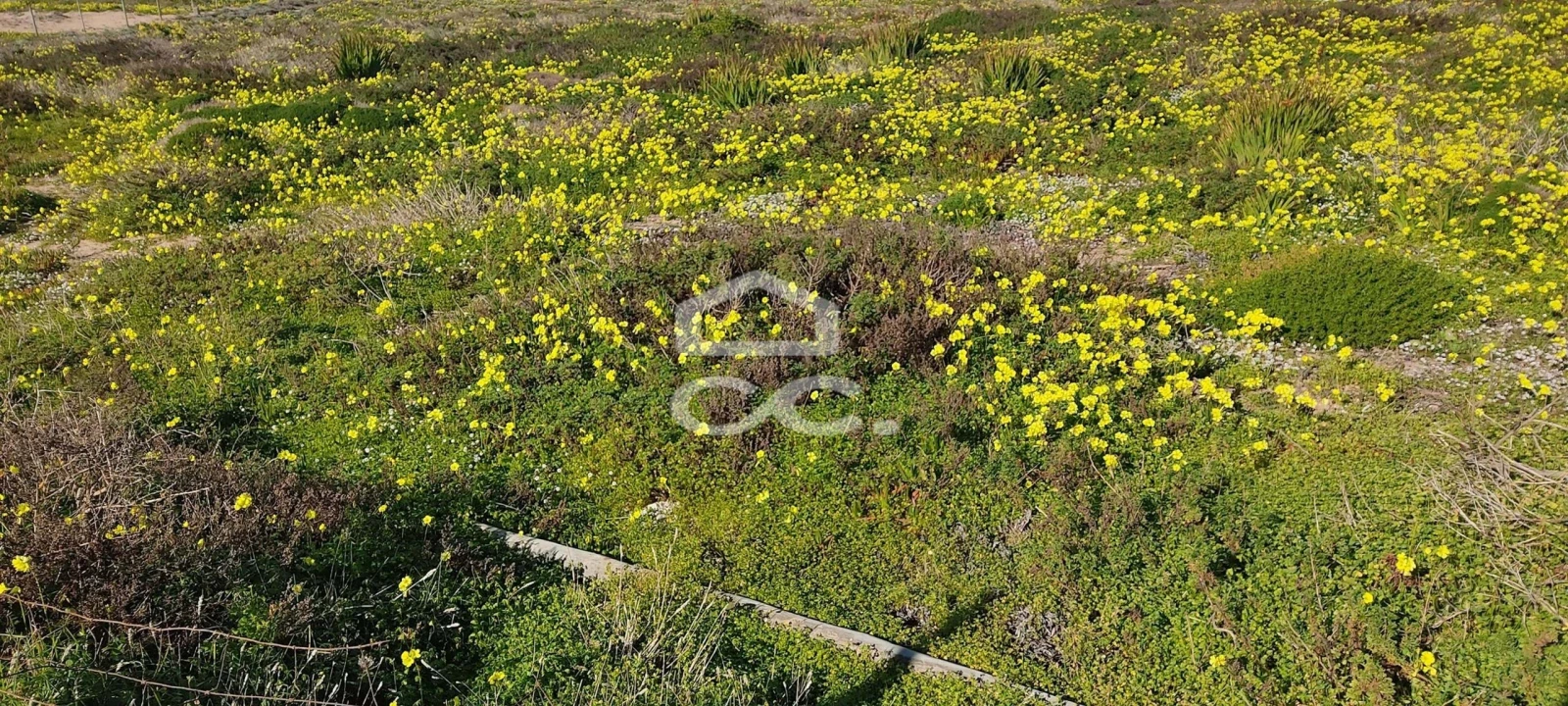 Terreno para Venda em Santo António dos Cavaleiros e Frielas Foto 2