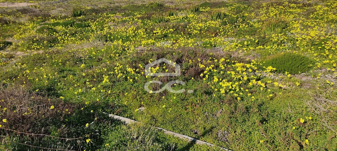 Terreno para Venda em Santo António dos Cavaleiros e Frielas Foto 2