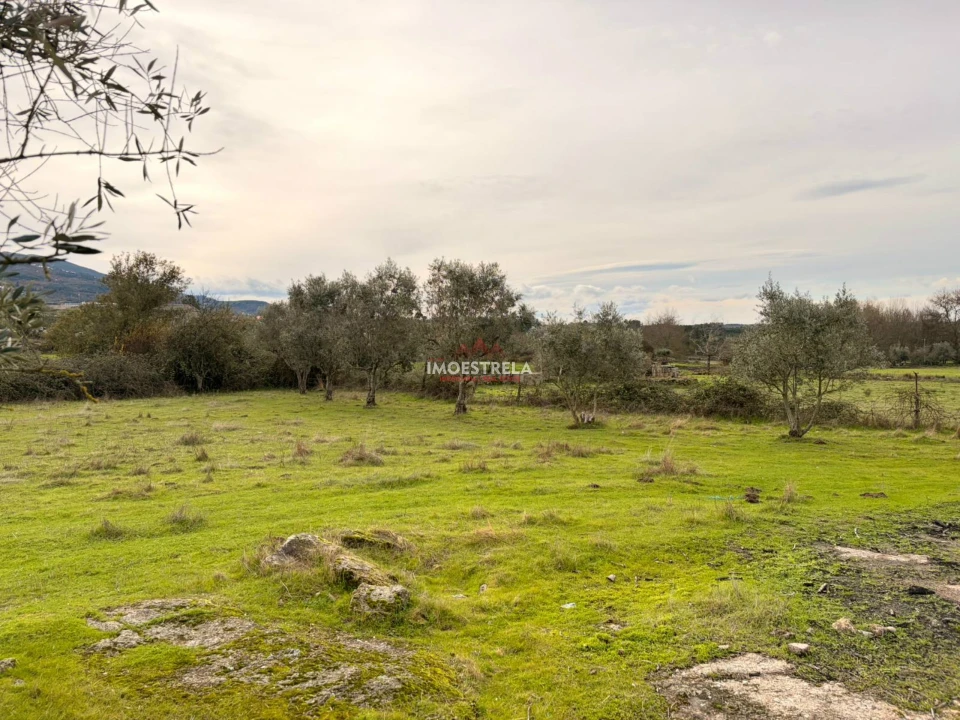 Quinta T0 para Venda em Santa Marinha e São Martinho Foto 5