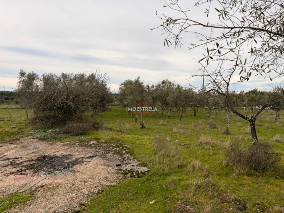 Quinta T0 para Venda em Santa Marinha e São Martinho Foto 9
