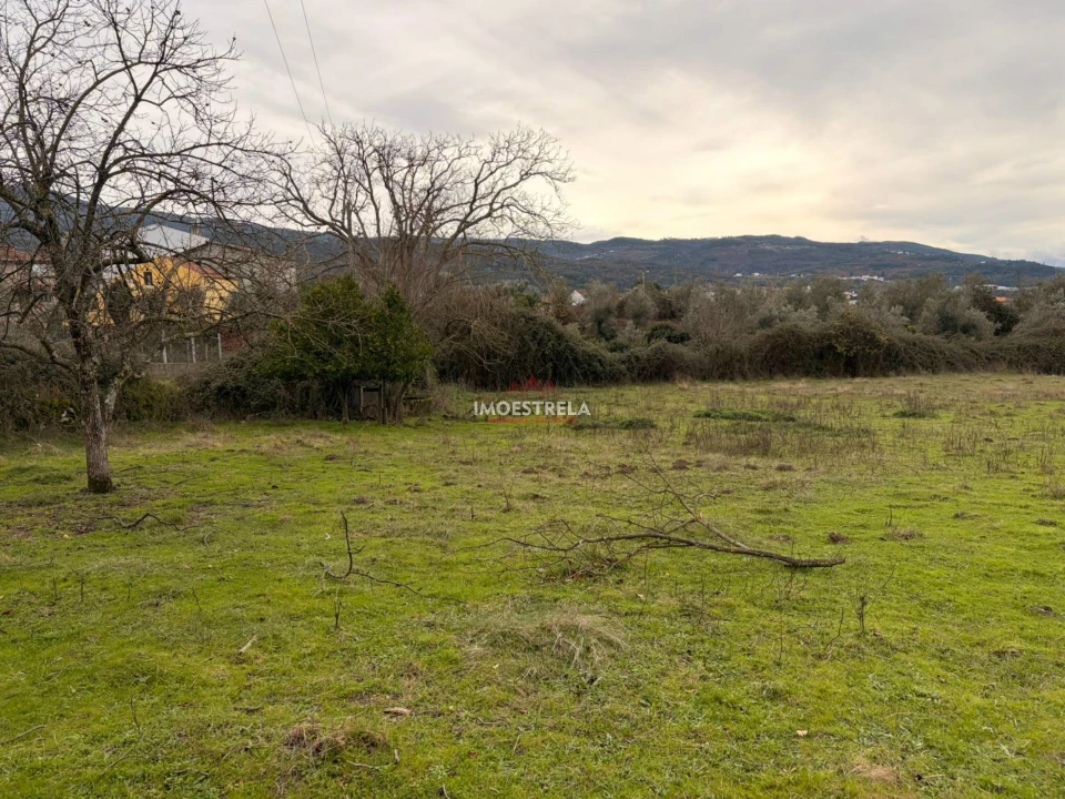 Quinta T0 para Venda em Santa Marinha e São Martinho Foto 3