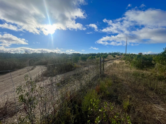 Terreno Agricola ou Rústico para Venda em Benquerenças Foto 12