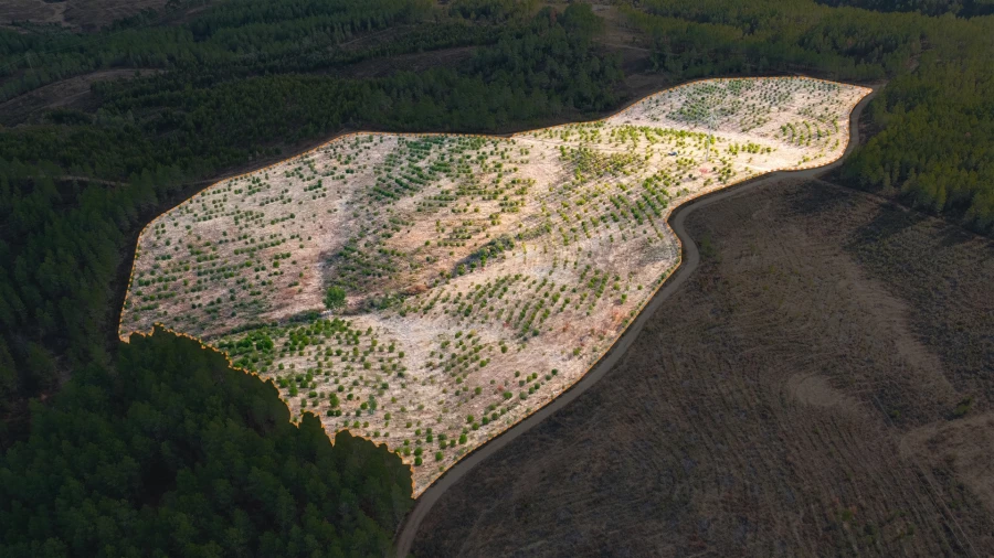 Terreno Agricola ou Rústico para Venda em Benquerenças Foto 2