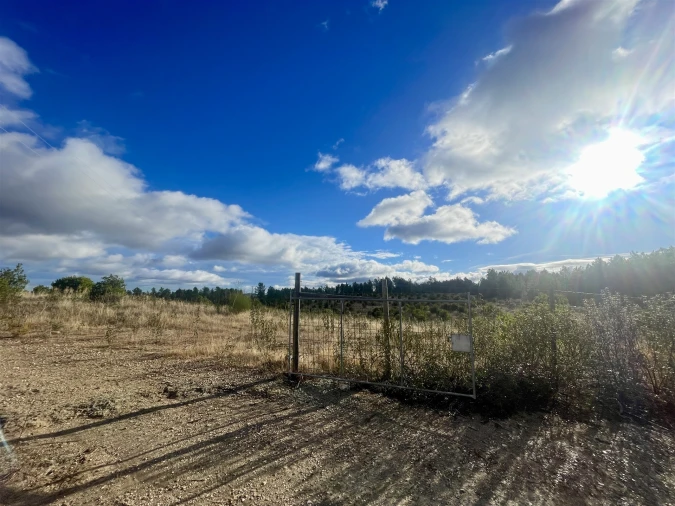 Terreno Agricola ou Rústico para Venda em Benquerenças Foto 4