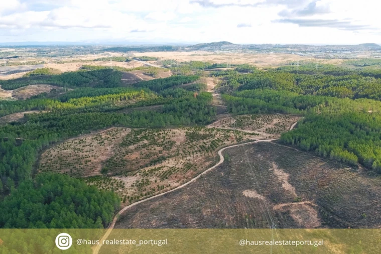 Terreno Agricola ou Rústico para Venda em Benquerenças
