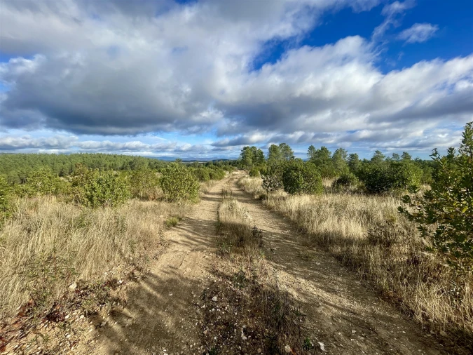 Terreno Agricola ou Rústico para Venda em Benquerenças Foto 9
