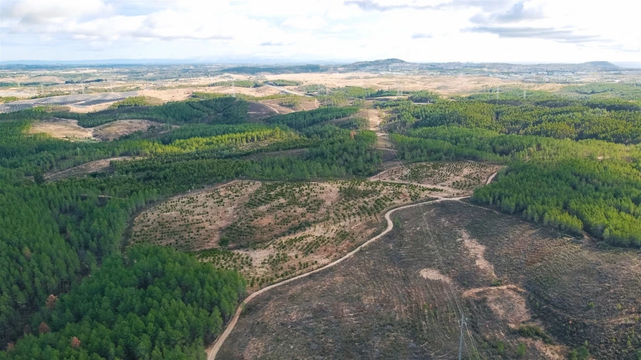 Terreno Agricola ou Rústico para Venda em Benquerenças Foto 14