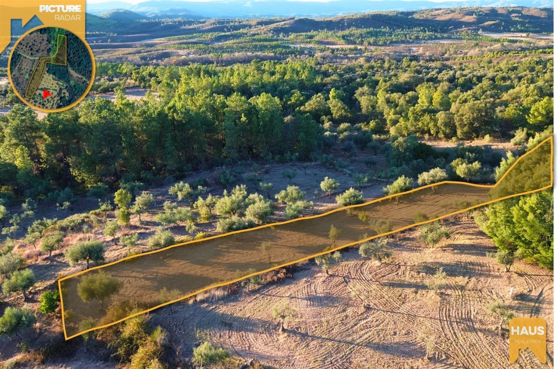 Terreno Agricola ou Rústico para Venda em Freixial e Juncal do Campo Foto 4