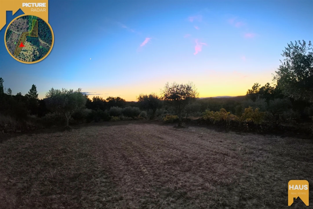 Terreno Agricola ou Rústico para Venda em Freixial e Juncal do Campo Foto 26