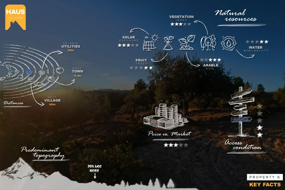 Terreno Agricola ou Rústico para Venda em Freixial e Juncal do Campo Foto 5