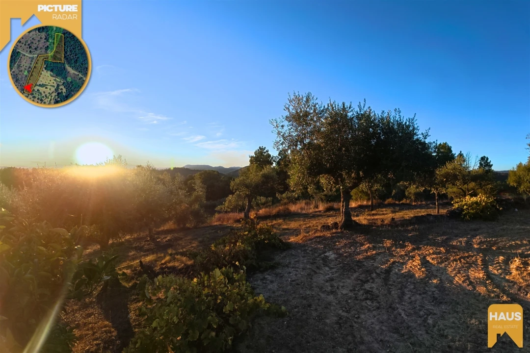 Terreno Agricola ou Rústico para Venda em Freixial e Juncal do Campo Foto 25