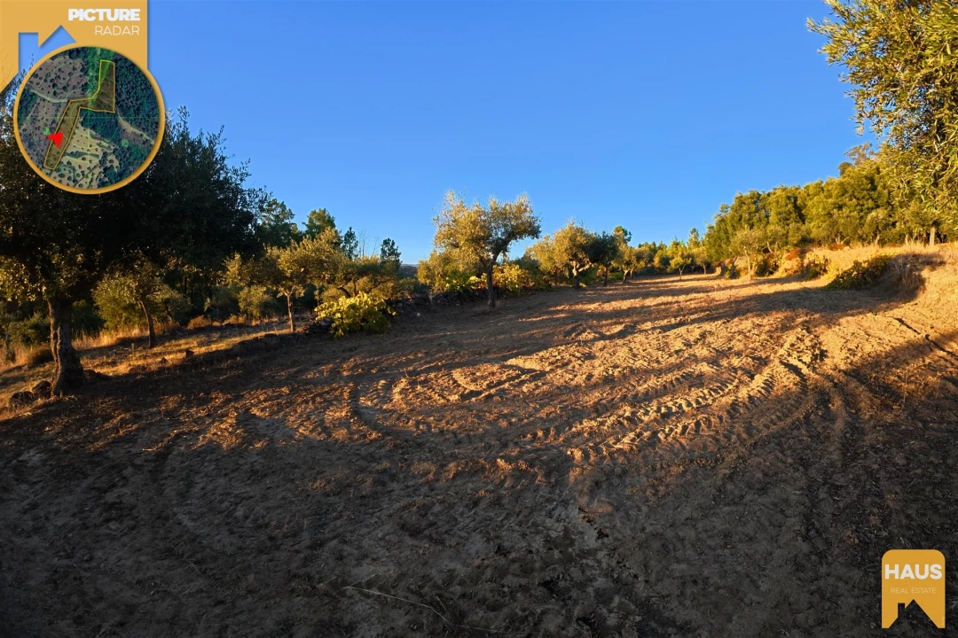 Terreno Agricola ou Rústico para Venda em Freixial e Juncal do Campo Foto 22