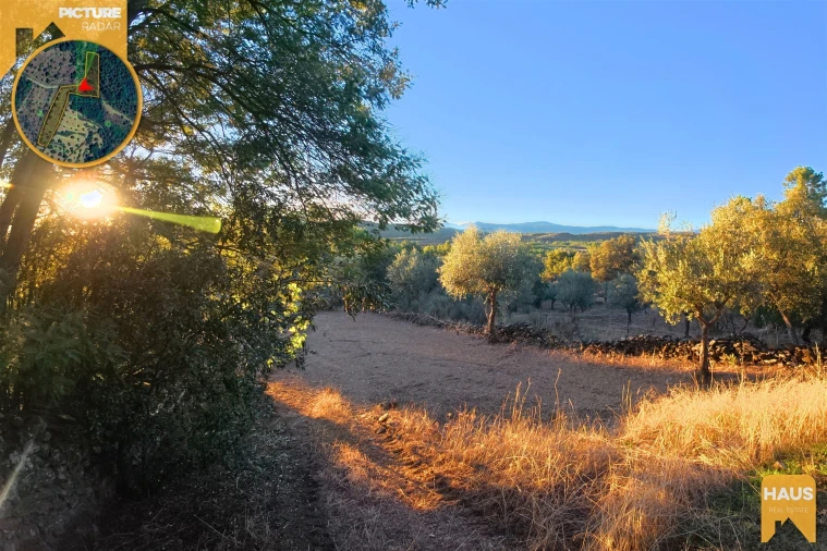 Terreno Agricola ou Rústico para Venda em Freixial e Juncal do Campo Foto 7