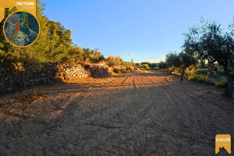 Terreno Agricola ou Rústico para Venda em Freixial e Juncal do Campo Foto 11