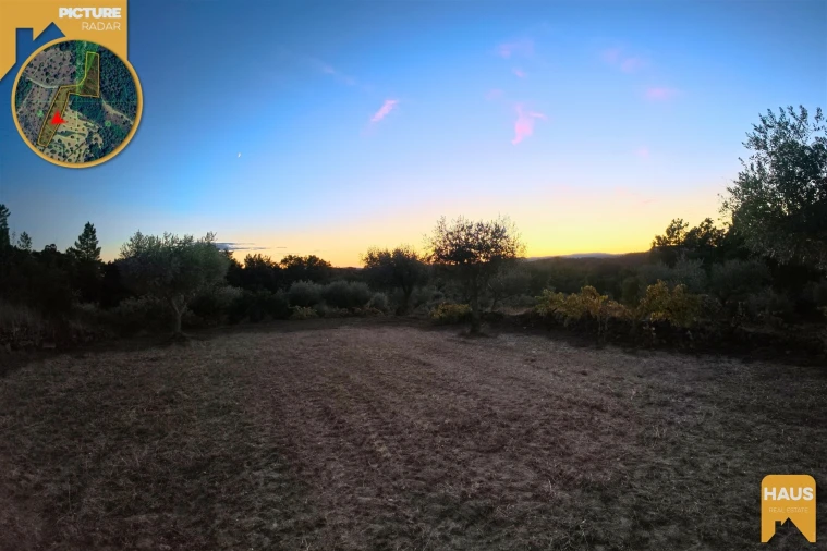 Terreno Agricola ou Rústico para Venda em Freixial e Juncal do Campo Foto 26