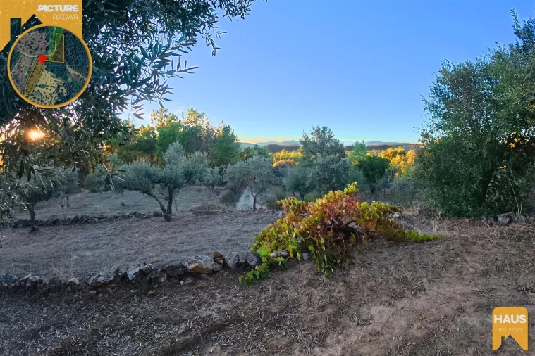 Terreno Agricola ou Rústico para Venda em Freixial e Juncal do Campo Foto 10