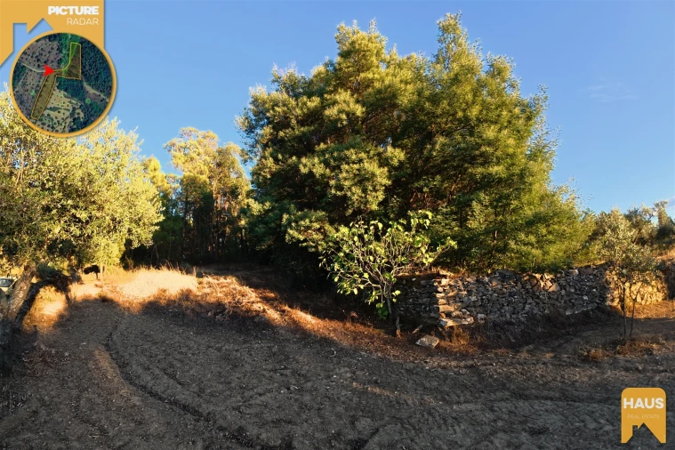 Terreno Agricola ou Rústico para Venda em Freixial e Juncal do Campo Foto 8