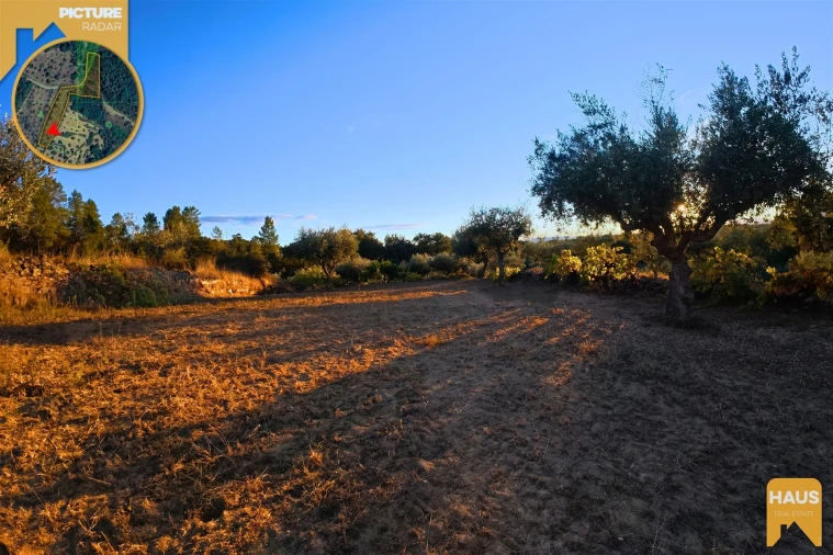 Terreno Agricola ou Rústico para Venda em Freixial e Juncal do Campo Foto 18