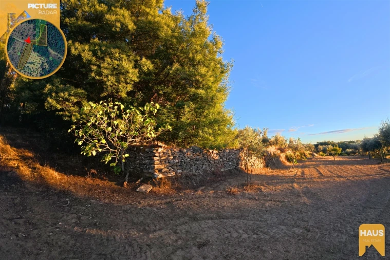 Terreno Agricola ou Rústico para Venda em Freixial e Juncal do Campo Foto 17