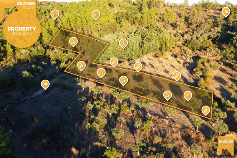 Terreno Agricola ou Rústico para Venda em Freixial e Juncal do Campo Foto 3